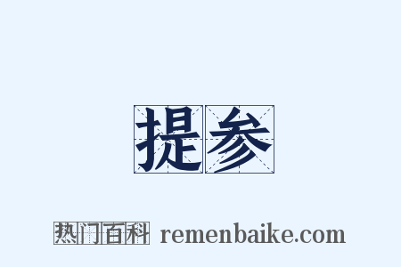 提参是什么意思的图片